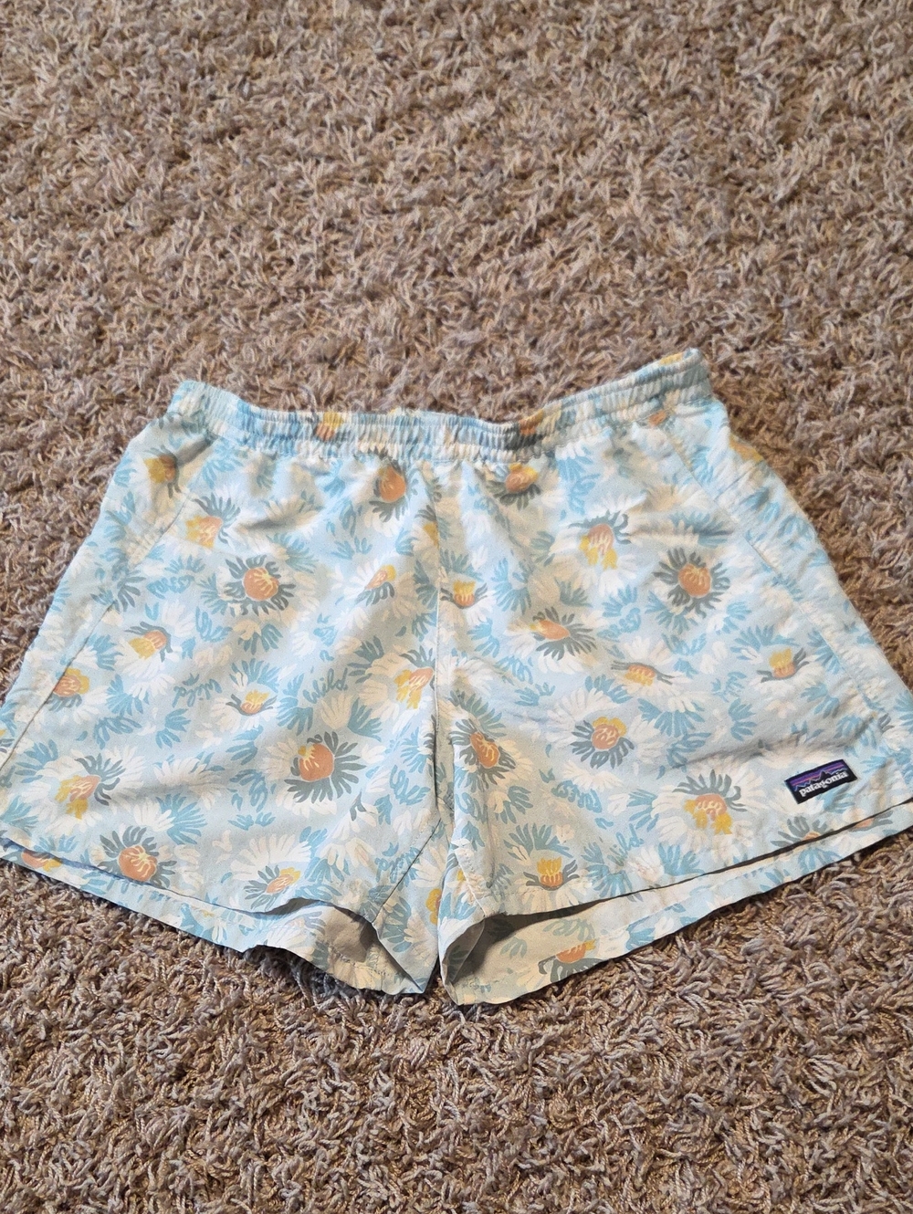 Patagonia Worn Wear  - Baggies Shorts